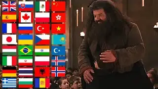 "There's no Hogwarts without you, Hagrid" in Different Languages | Robbie Coltrane