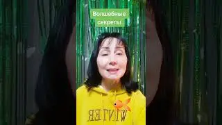 11 декабря 2023 г.