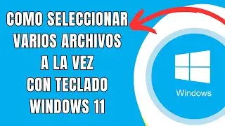 COMO SELECCIONAR VARIOS ARCHIVOS A LA VEZ CON EL TECLADO EN WINDOWS 11 🟢
