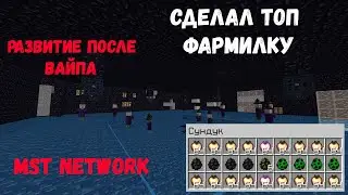 АНАРХИЯ - РАЗВИТИЕ ПОСЛЕ ВАЙПА | СДЕЛАЛ ФАРМИЛКУ НА ВЕДЬМАХ