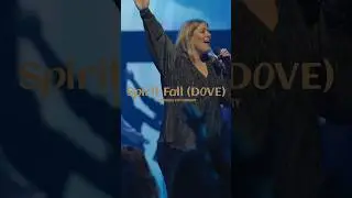 Spirit Fall (Dove) 🕊️ February 9th 🤍