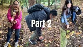 Part 2 - Chestnut Picking for Free l Pinupulot lang na libre ang Kastanyas sa Englatera