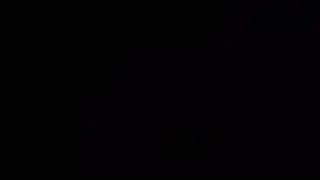 Видео8528