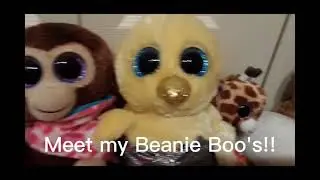Meet my Beanie Boo`s!!!