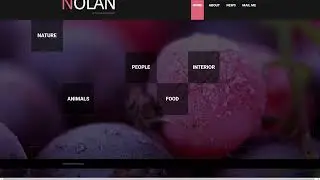 Photographer Portfolio Website Template - 50493