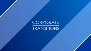 Corporate  Transitions