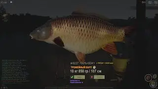 Fisher Online Франция : Карп