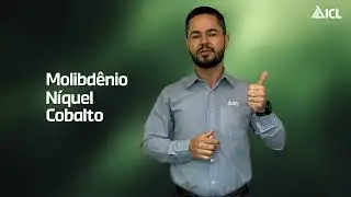 Nutrientes Mais Importantes | 02 Nitrogênio
