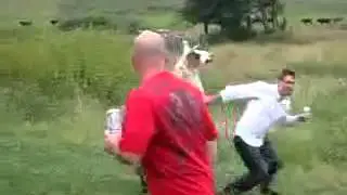 Лама и мужик)))