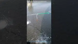 Вона вже Сиділа, а я і не Туди ! 🐟😱 