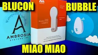 MiaoMiao 2 vs. Bubble aka Bubblan vs. NightRider BluCon / Best FreeStyle Libre Transmitter in 2020?