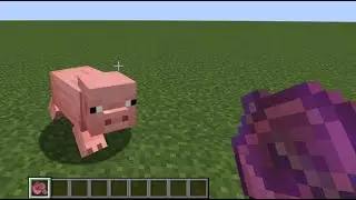 The Strongest Boat in Minecraft?