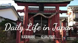 Daily Life in Japan- Chasing Shrines around Kasukabe