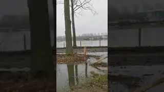 Untitled video