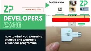 ZP Developers Zone 11 February 2024