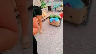 Анастасия Хорошая Бизнесменша 