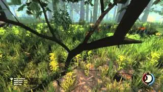 TheForest №1 (От страха полетел)