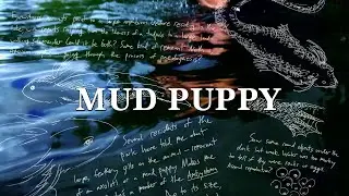 Mud Puppy | Short Film
