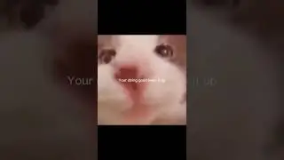 I have to tell you something