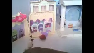 mlp music video [ i really dont care]