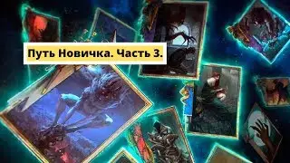Гвинт. Путь новичка. Часть 3. Нужно больше фарма!