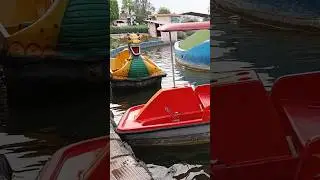 Bareilly Funcity Visit #shorts #adventure  #waterpark  #bareillyfuncity