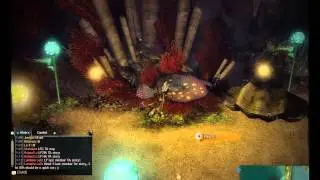 Guild Wars 2 - Quaggan Pipe Organ Puzzle