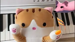 I taught my Сat-sausage to play the piano😂