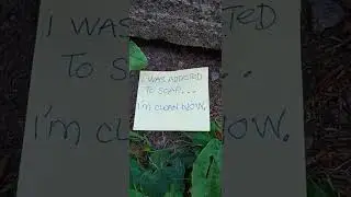 Clean Pun - Addicted to Soap - Punhunting  #shortsvideo #clean #soap #addictedtosuccess #punhunting