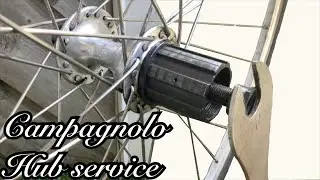 Campagnolo Rear hub service for 8 speed