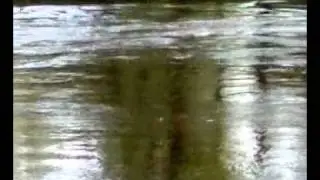 26042011141.mp4