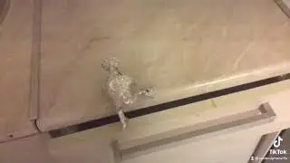 Видео лепка человек паук