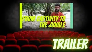 From Captivity to the Jungle - TRAILER