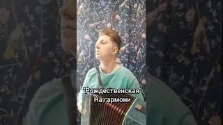 Рождественская на гармони 