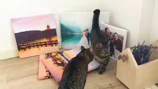Фотохолсты от ПАПАРА.РУ