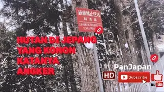 HUTAN ANGKER DI JEPANG MIRIP DI DEMON SLAYER