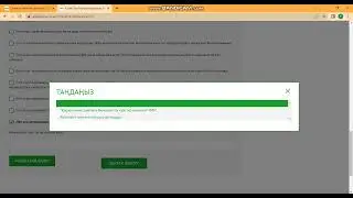 Декларация толтыру 250