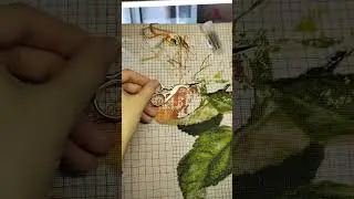 клёвое... зелёное 🤭 почти #яблоки #вышиыаю #нитки #выходной #летом