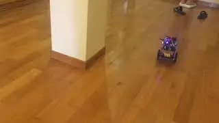 Balancing Robot