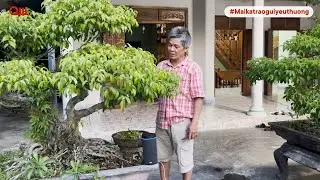 Đời sống tinh thần tuổi xế chiều phong phú hơn khi có Maika - Sẻ chia khoảnh khắc