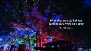 Viral!! Sampek tuek ]deny caknan - story wa 30 detik viral!