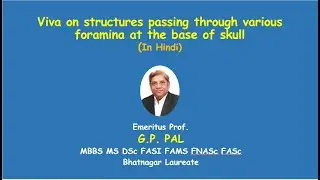 Foramina at base of skull   Hindi