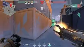 rip phoenix