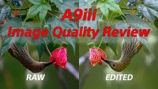A9iii Image Quality Review