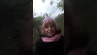 Наши похождения в местных деревьях😊👀🌳🐾🐾 This Jungle👀🌳🌳🌿
