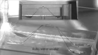 Robo water strider takes flight | Science News