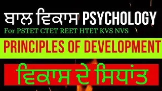 CDP principles of development//Important for CTET PSTET HTET REET pstet 2022