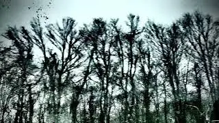 Snow goblin’s (deep snow)