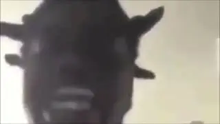 Backseat Freestyle low quality