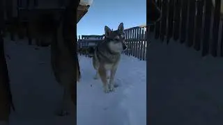 джека жалуется. не кормим и музыка громкая